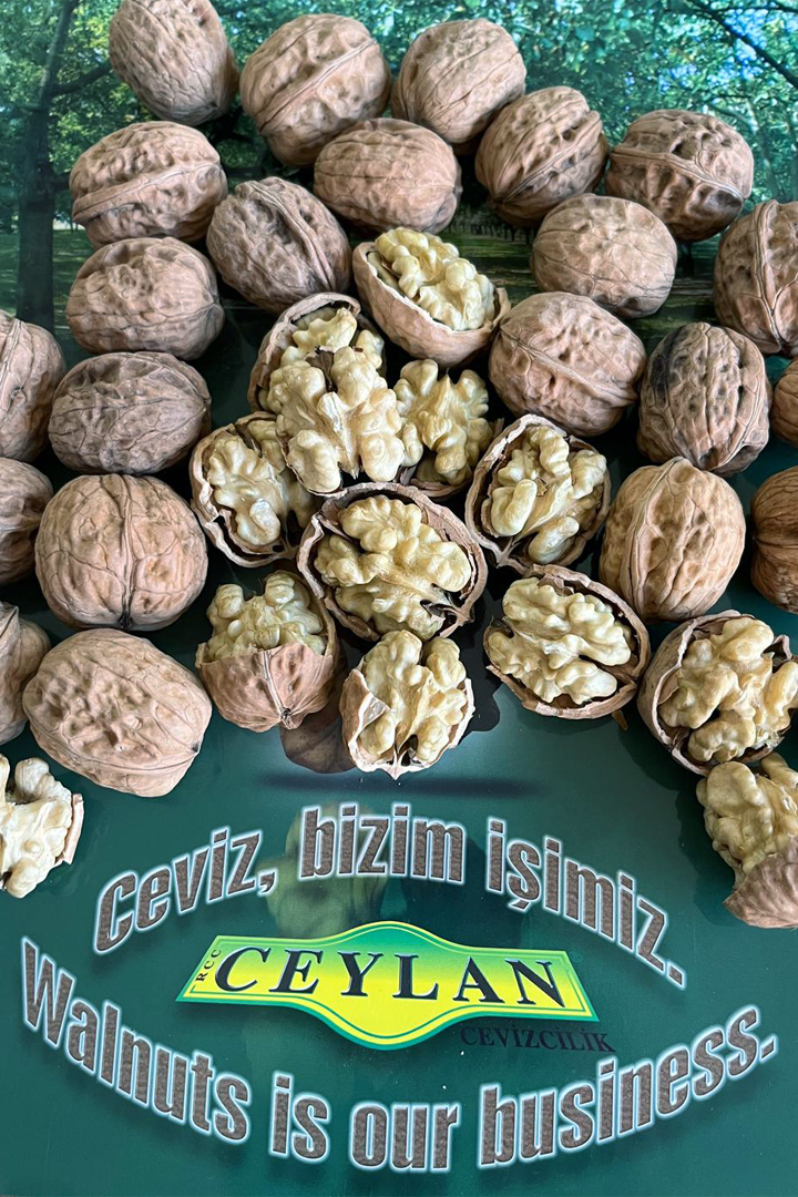 Ceviz İşi